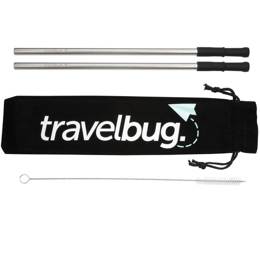 Reusable Stainless steel Straw Set with Brush – Silver