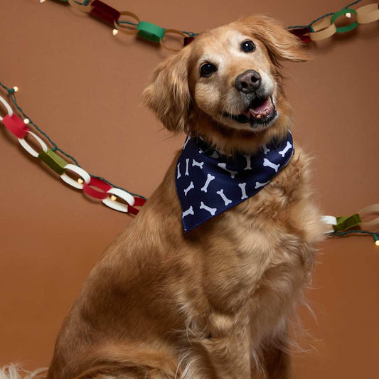 Paws &amp; Claws Pet Bandana – Blue