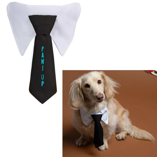 Paws &amp; Claws Pet Neck Tie Collar – White