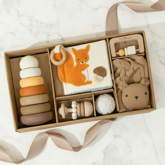 Baby’s First Toys Gift Set